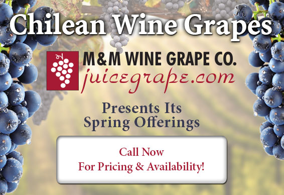 Order Chilean Grapes and Juice. Call 860.278.7703