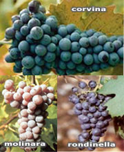 Valpolicella