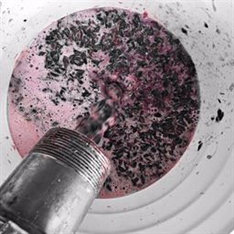 CD-DESTEM-MUST-WINERY ONLY-MINIMUM 1 TON