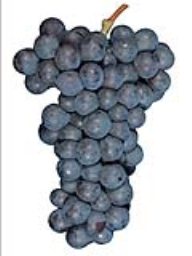 Cabernet Franc, Chile, (18lb)