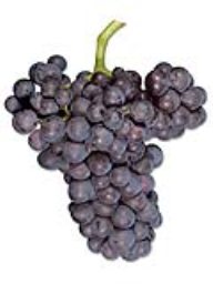 Grenache (Amador) (36lb)