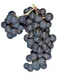 Cabernet Sauvignon (Alexander Valley)  (36lb RPC)