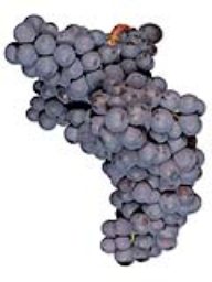 Mourvedre (1 Ton)