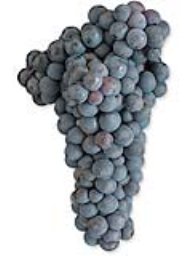 Grenache (Lodi) (1 Ton)