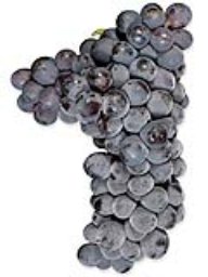 Sangiovese (Lodi) (1 Ton)