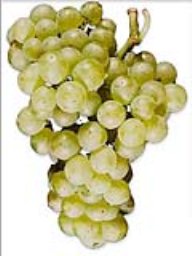 Chardonnay (Woodbridge) (36lb)