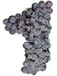 Sangiovese (Lanza Vineyards) (1 Ton)