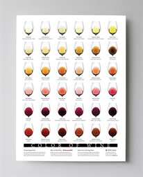 Wine Folly Poster, Color of Wine Print