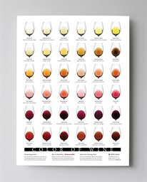 Wine Folly Poster, Color of Wine Print
