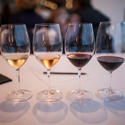 Winemaking Faults and Flaws Class