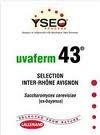 Yeast, UVAFerm 43 (500g)