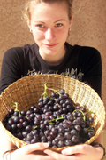 local grape grower CT,NY